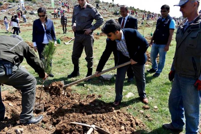 Seydişehir'den kısa kısa