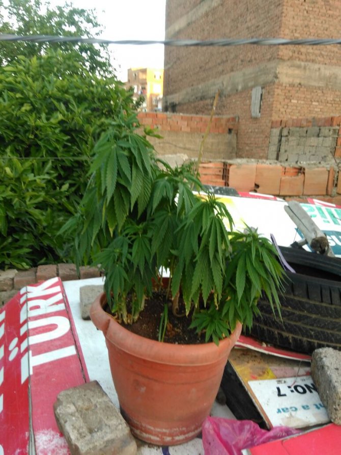 Okulun tribün korkulukları yıkıldı: 5 öğrenci yaralı