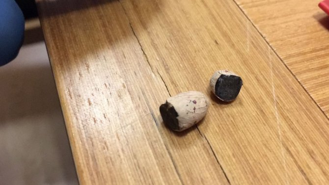 Van'da uyuşturucu operasyonu