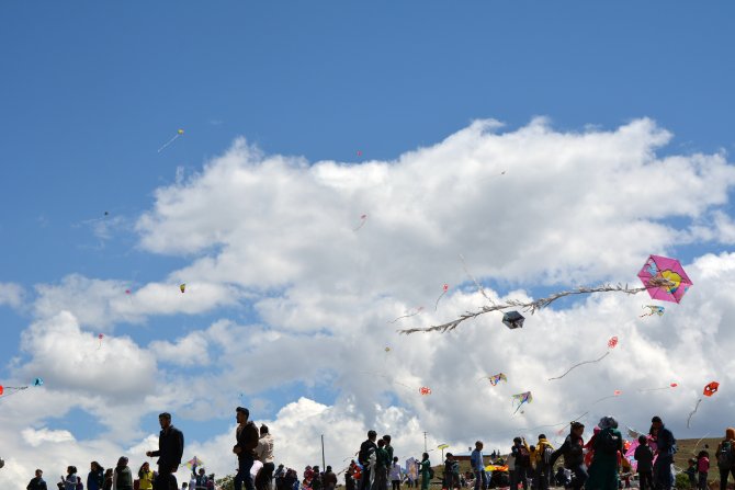 Suşehri'nde uçurtma şenliği