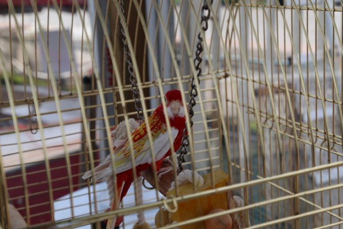 Galatasaray Adası'ndaki yıkım