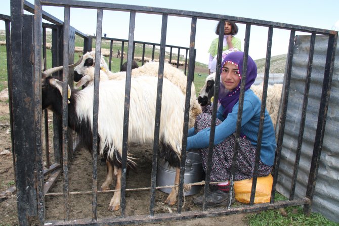 İftihar, takdir ve teşekkür sevincini 2 bin 500 rakımlı yaylada yaşadılar