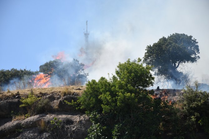 Makilik alanda çıkan yangın dört araca sıçradı