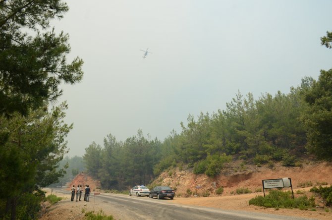 GÜNCELLEME - Mersin'de orman yangını