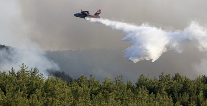 İzmir'deki maki ve orman yangını