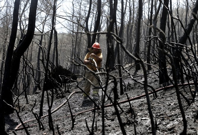 İzmir'deki orman yangınında soğutma çalışmaları sürüyor