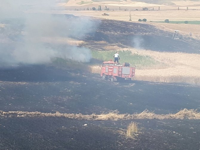 Çorum'da buğday tarlasında yangın