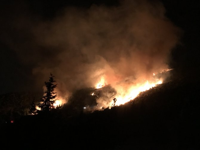 GÜNCELLEME - İzmir'de orman yangını
