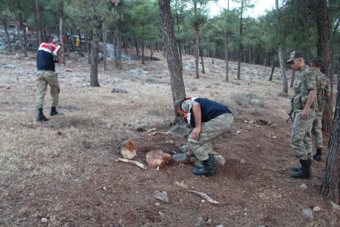 Hatay'da örtü yangını