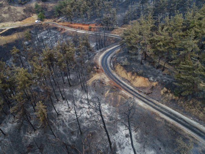 GÜNCELLEME - İzmir'deki orman yangını