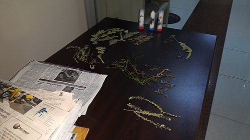 Biyolojik kaçakçılığa suçüstü