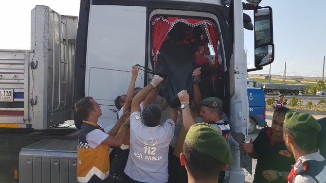 Tır şoförü aracında ölü bulundu