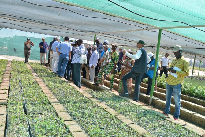Afrika ülkelerine ormancılık eğitimi verildi