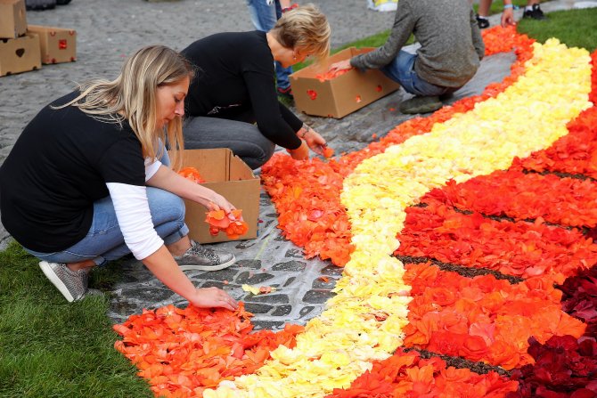 Brüksel'de Çiçek Zamanı Festivali