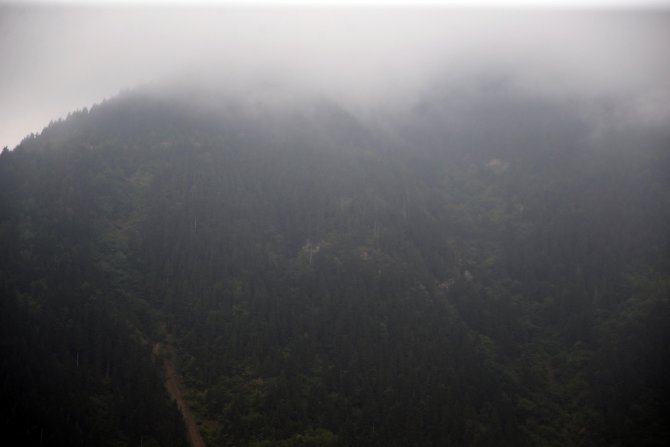 GÜNCELLEME 2 - Maçka'daki terör saldırısı