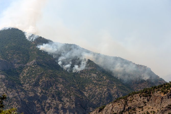 Tunceli'deki orman yangınları
