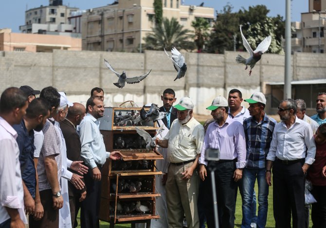 Gazze'de posta güvercinleri yarıştı