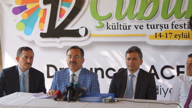 12. Uluslararası Çubuk Turşu ve Kültür Festivali