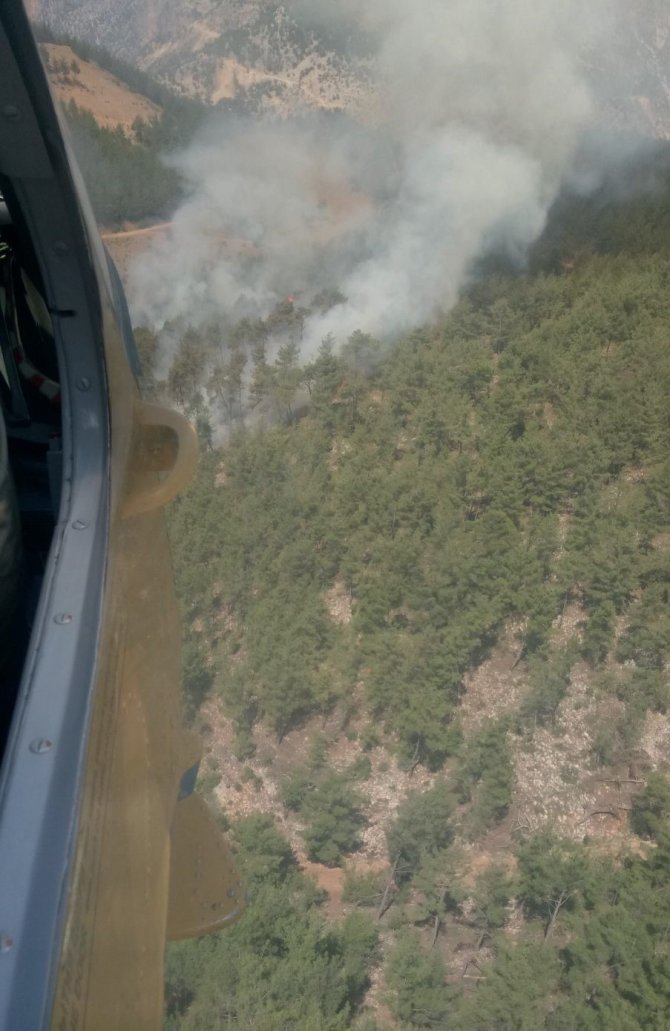 GÜNCELLEME - Adana'da orman yangını