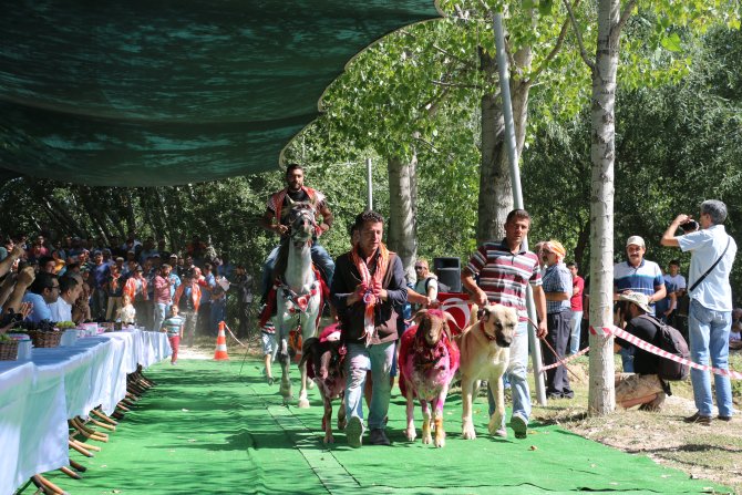 Sudan Koyun Geçirme Yarışması