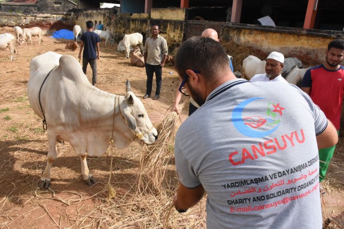 Cansuyu, Hindistan'da Kurban Bayramı'na hazır