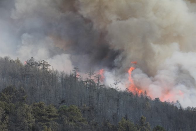 Kütahya'daki orman yangını