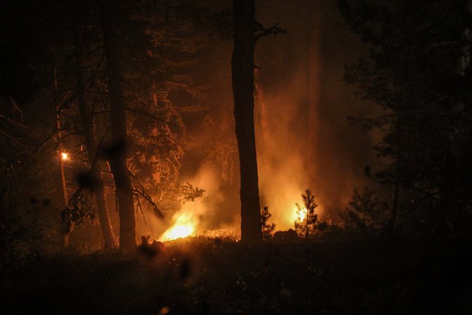 GÜNCELLEME - Kütahya'daki orman yangını
