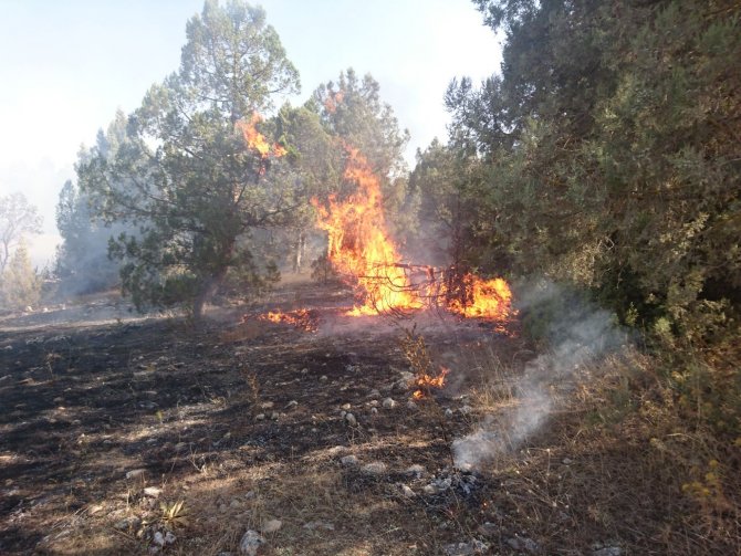 GÜNCELLEME - Balıkesir'de ev yangını ormana sıçradı