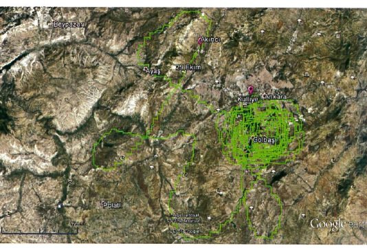 Karakutuyu unuttu, yalanı ortaya çıktı