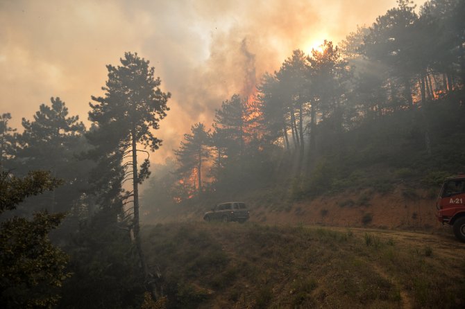GÜNCELLEME - Sakarya'da orman yangını