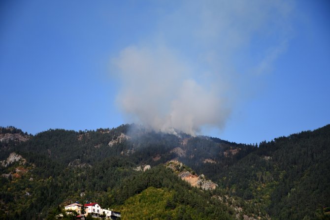 Gümüşhane'de orman yangını