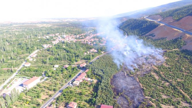 GÜNCELLEME - Konya'da makilik alanda yangın