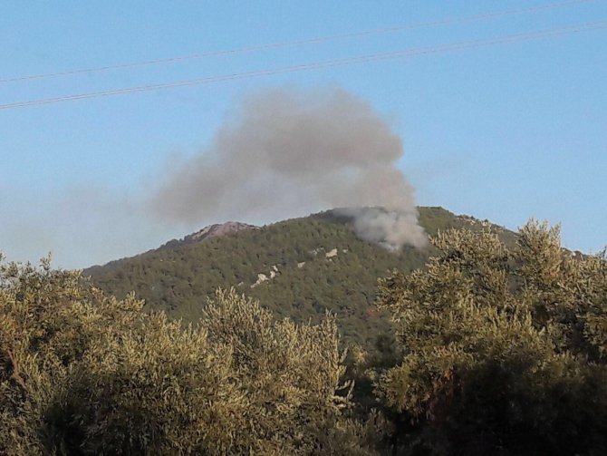 GÜNCELLEME - Muğla'da orman yangını