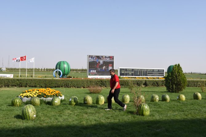 "7. Diyarbakır Kültür ve Karpuz Tanıtım Etkinlikleri"