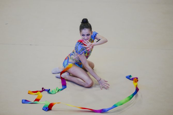 Cimnastik: Federasyon Kupası