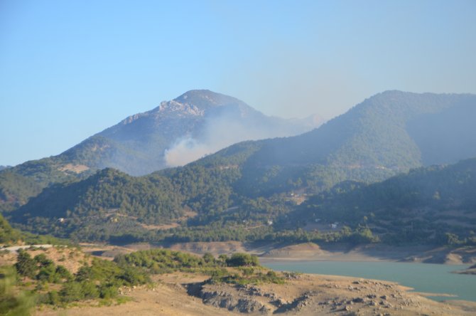 GÜNCELLEME - Adana'da orman yangını