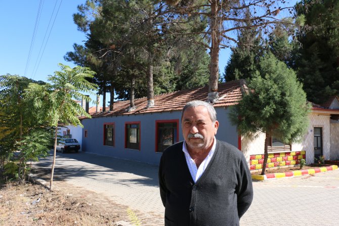 Ağaçları binanın içinde bıraktı