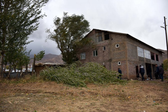 Muş'ta devrilen ağaçların altında kalan kadın öldü