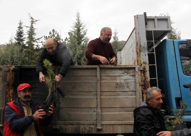 Beypazarı'nda fidanlar toprakla buluştu