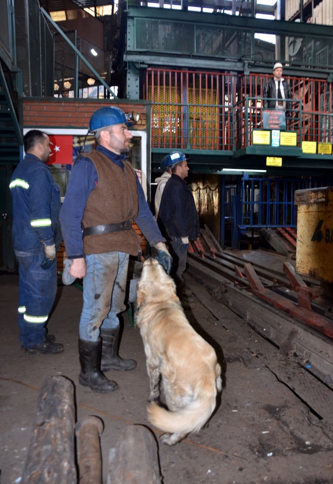 Büyük Önder Atatürk'ü anıyoruz