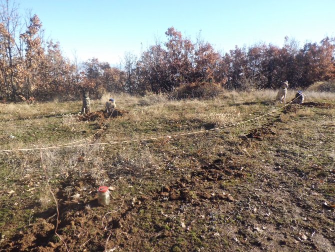Bingöl'de terör operasyonu