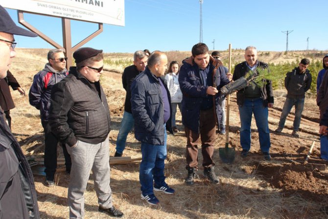 Sivas'ta bin fidan toprakla buluştu