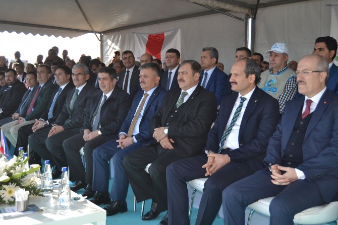 Ayvalık'taki Cennet Koyu ağaçlandırılıyor