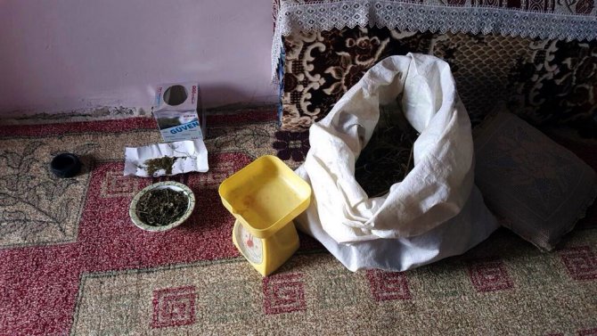 Polis samanlıkta dirgenle uyuşturucu aradı