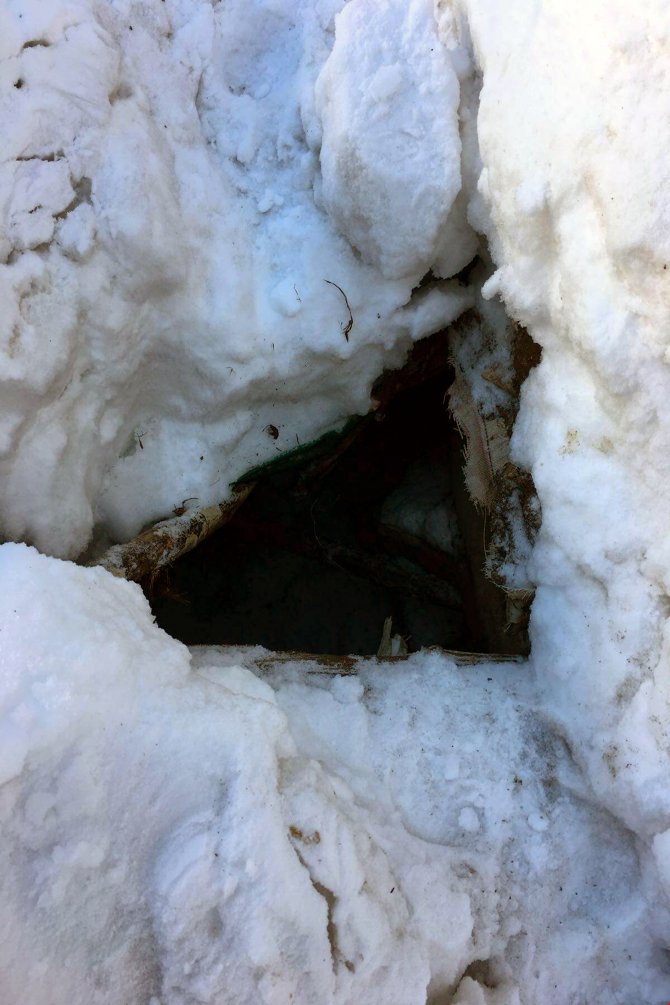 Tunceli'de terör operasyonları