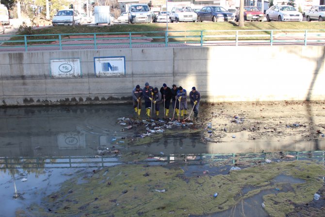 BSA kanalında temizlik