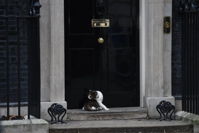 İngiltere Eğitim Bakanı istifa etti