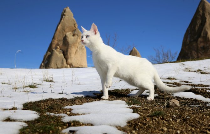 Kapadokya beyaza büründü