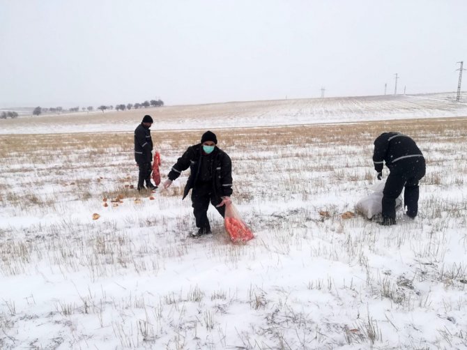 Yaban hayvanları için doğaya yem bırakıldı