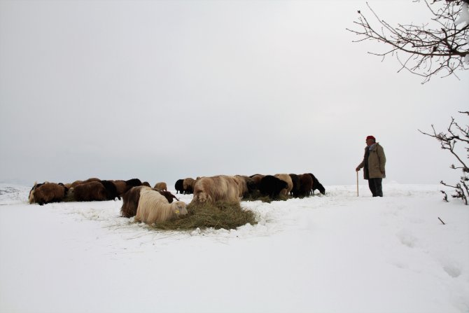 Devrilen tır nedeniyle Ağrı-İran karayolu bir süre ulaşıma kapandı